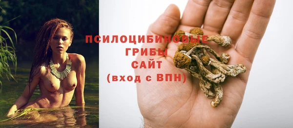 герыч Новозыбков