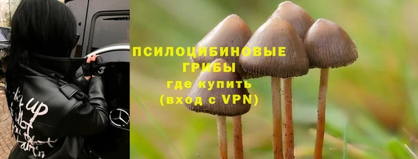 герыч Новозыбков