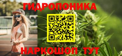 тгк Гусев