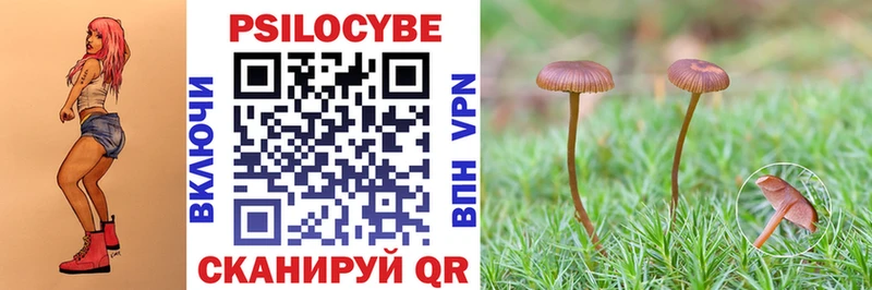 Псилоцибиновые грибы MAGIC MUSHROOMS даркнет сайт Пятигорск